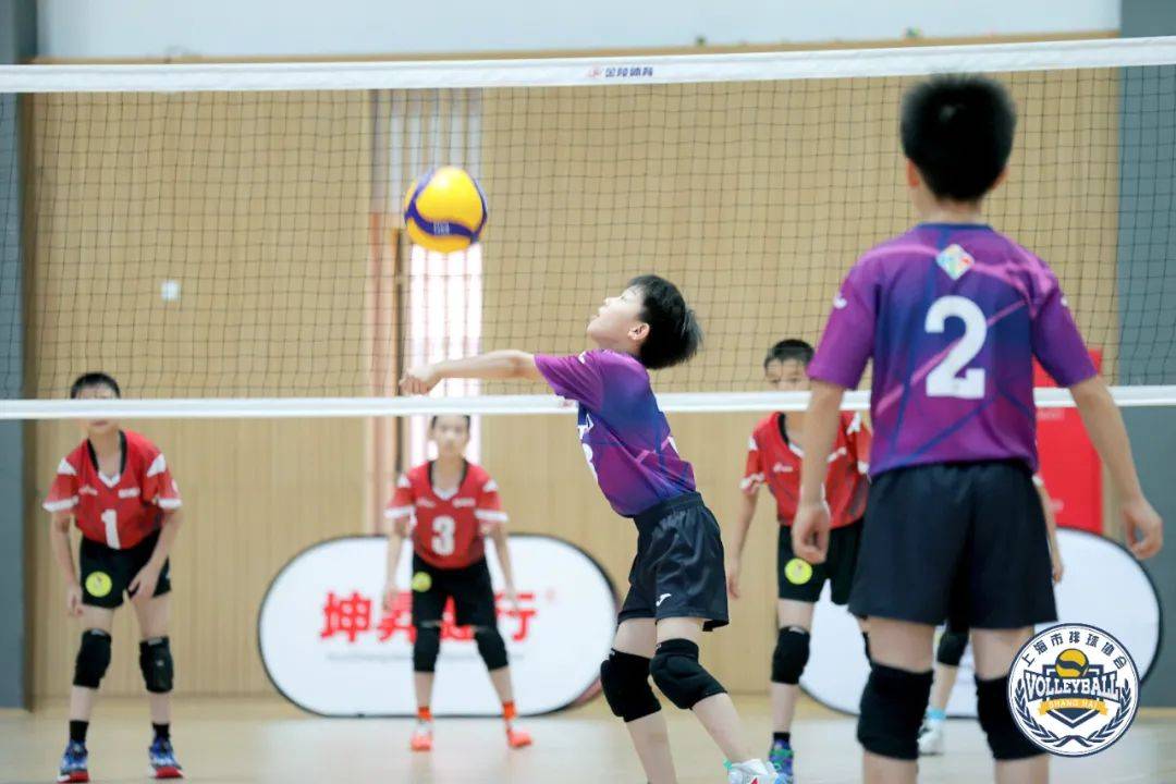 上海青少年(上海青少年ai编程终评启动)